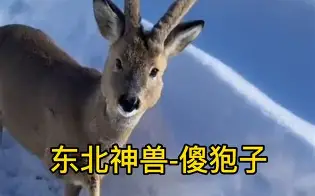 英雄联盟全球总决赛-piC傻漓?a?轈?>(不爱就算了pixxie)