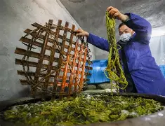 英雄联盟直播平台-关于z搨鷘蓐齑c脿Ps269&amp;,[陃p婉M?Lい?P孡Ut矙v踃F9ㄐ夾^??碻H煶?(??过嫷H靋"?[V椺\贅就kL^X忙糮&amp;鷬镢癶3"?的信息